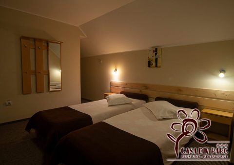 Pensiunea Casa din Parc - Covasna (31)