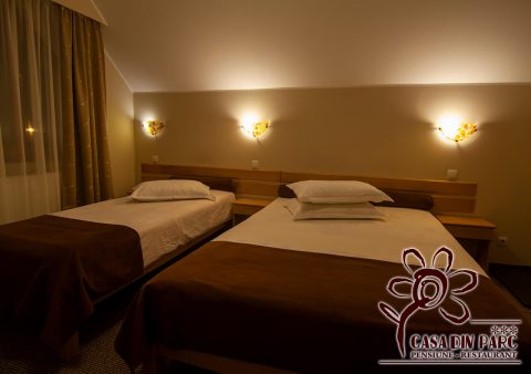 Pensiunea Casa din Parc - Covasna (34)