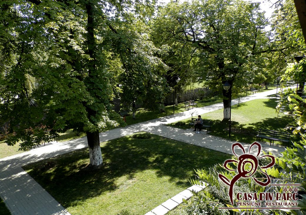 Pensiunea Casa din Parc - Covasna (5)