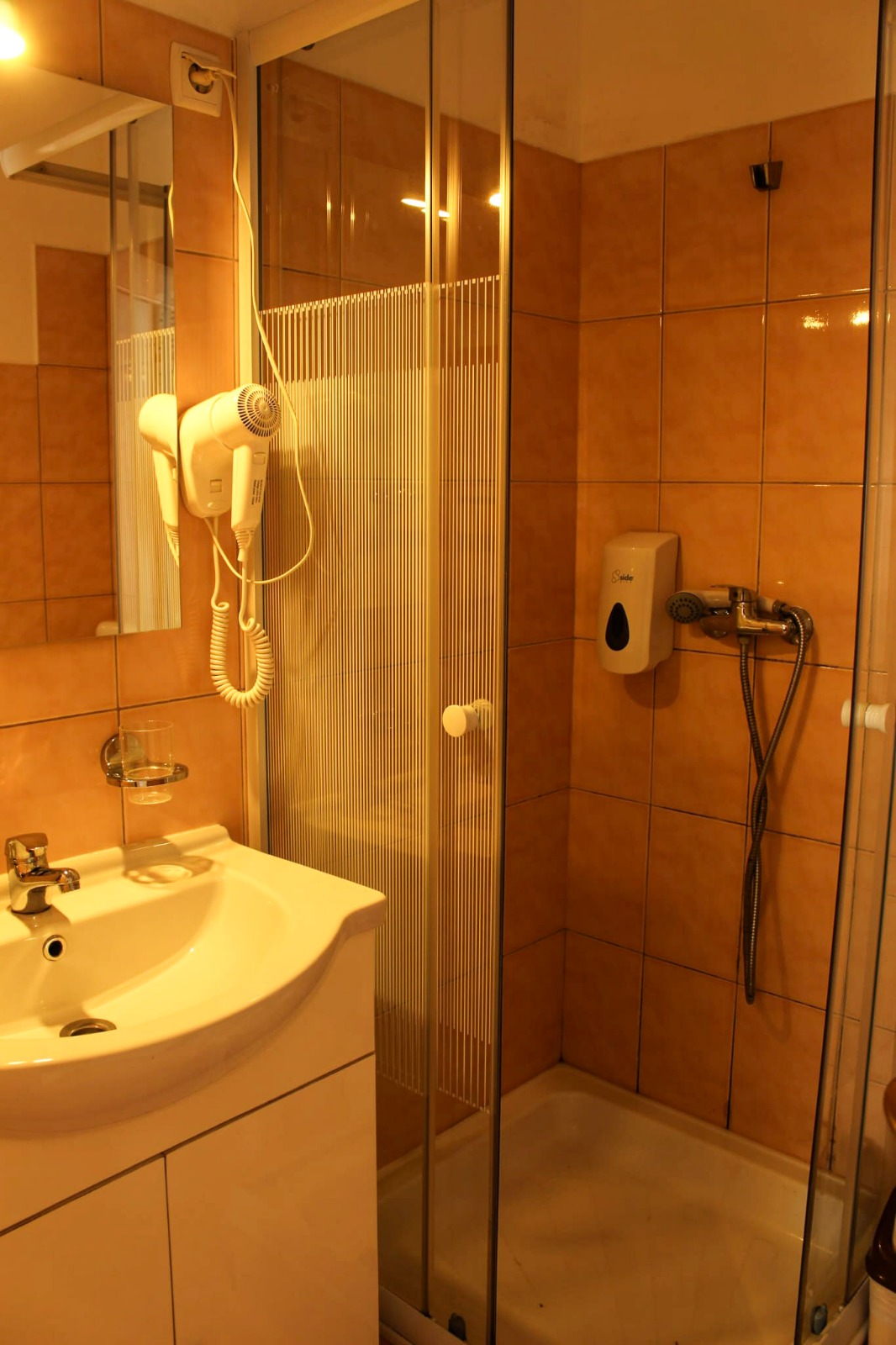 Camera 1 - Casa din parc - Pensiune Covasna (3)